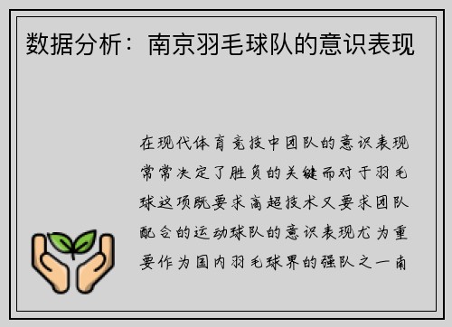 数据分析：南京羽毛球队的意识表现